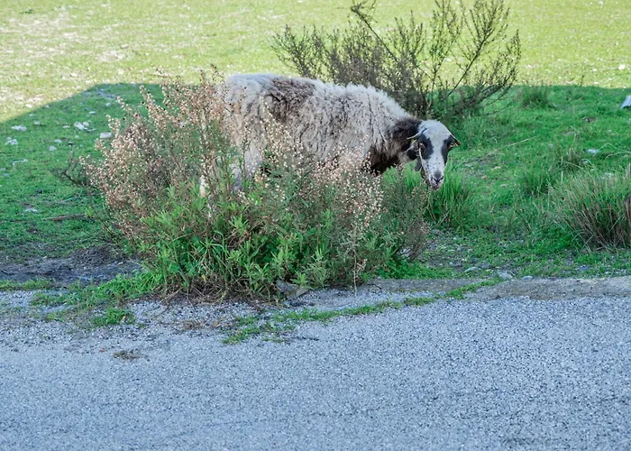 Giannis Place Feriehus