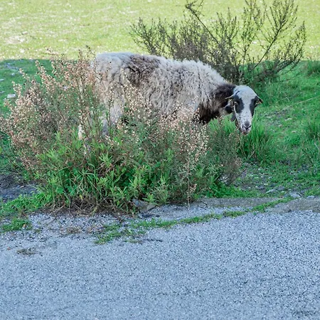Giannis Place بيت للعطل